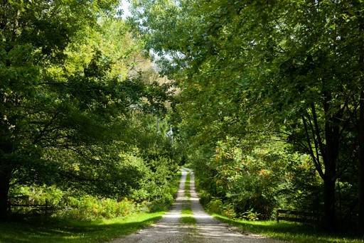 The summer view of the laneway of Irvineside Farm in Elora, Ontario