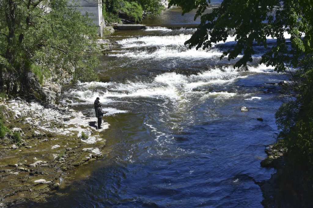 Grand River fly fishing Elora Fergus