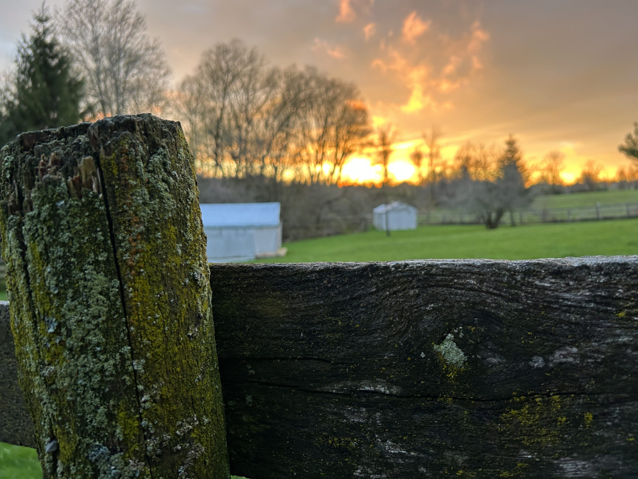 Sunset from the fence line overlooking glamping tents at Irvineside Farm