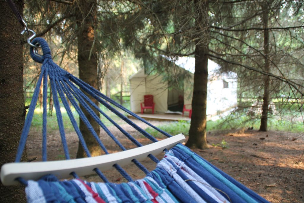 Hammock overlooks the forest of pines, with The Elora rustic glamping tent in the distance. 